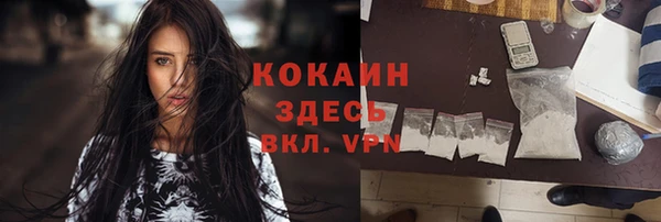 прущие грибы Киреевск
