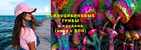 прущие грибы Киреевск