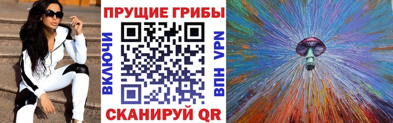 Галлюциногенные грибы мухоморы  закладка  Медногорск 