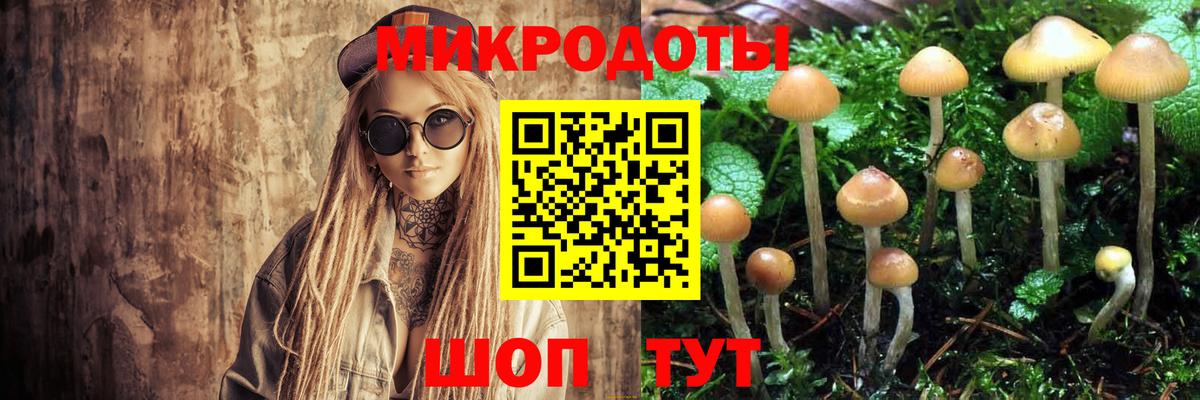 Псилоцибиновые грибы Cubensis Медногорск